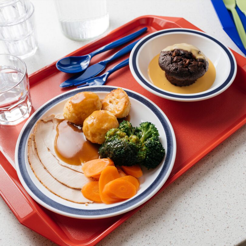 Royal Blue Duo Dining Set on Meal Tray