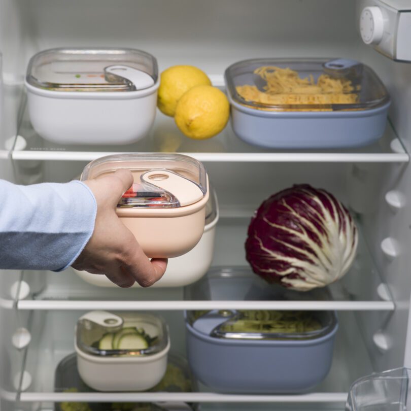 Full PullBox Range Stored in Fridge