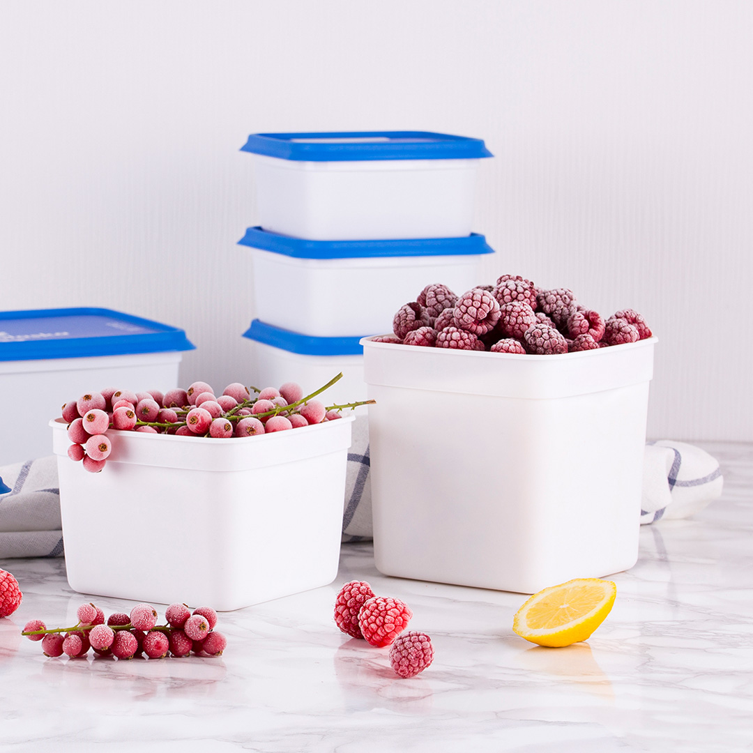 Alaska 1.2L Freezer Storage Containers with frozen fruit