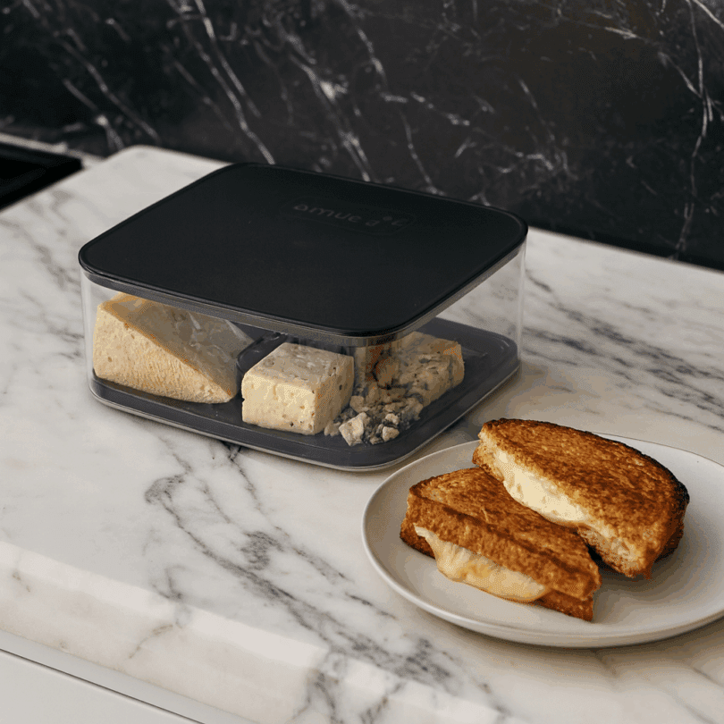 Speciality Cheese Storage Box with Cheese Toasties